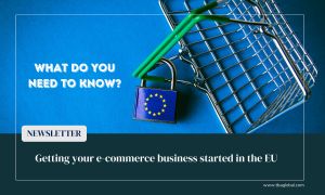 Essential Steps to Launch Your E-Commerce Business in the EU: A Complete Guide to VAT, EPR, Certification, and More