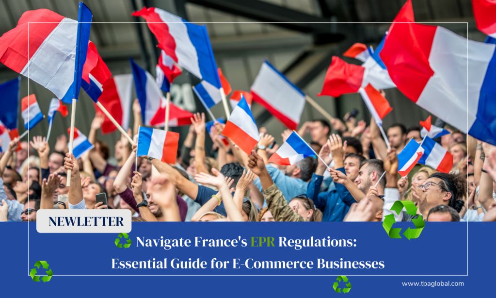 Navigate France's EPR Regulations: Essential Guide for E-Commerce Businesses